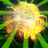TheCryptoNagus's profile image