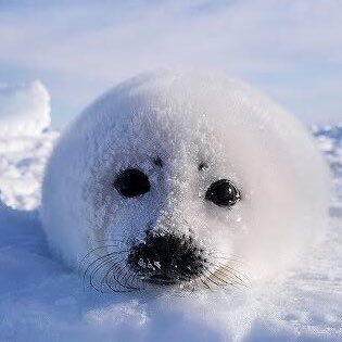 okd_battlecard's profile picture. いらっしゃい！いらっしゃい！いらっしゃい！いらっしゃい！いらっしゃい！いらっしゃい！いらっしゃい！いらっしゃい！いらっしゃい！いらっしゃい！いらっしゃい！いらっしゃい！