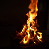 Sarode (@sarode99) 's Twitter Profile