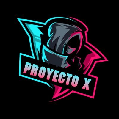 PROYECTO X