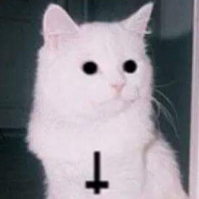 johnbusch23's profile picture. 