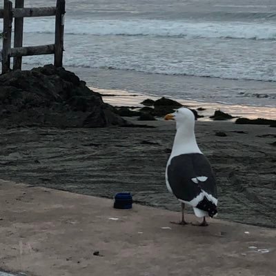 edgova's profile picture. Real Estate, Trader, Tenis player