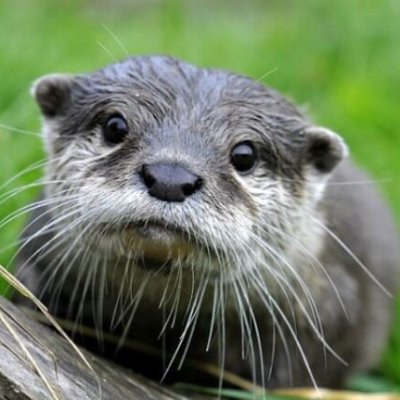 elliebelly121's profile picture. 