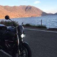 てて (@tetteet) 's Twitter Profile