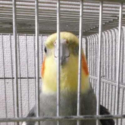 ResidentOnaHill's profile picture. 