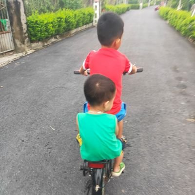 Qun40627544's profile picture. none