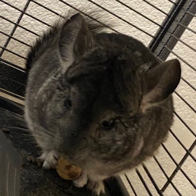 penguindrum_00's profile picture. I just came here to rant because making friends is exhausting. Hi