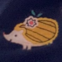 drihaseyama (@drihaseyama) 's Twitter Profile