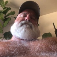 Tim Martin (@beartime4bears) 's Twitter Profile