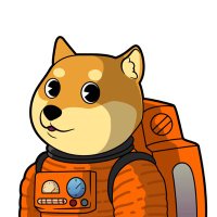 Dogeparty University (@dogepartyu) 's Twitter Profile Photo