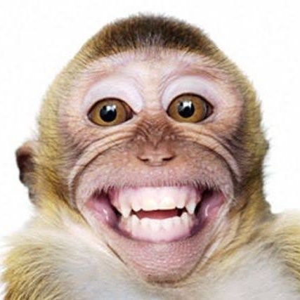 topengonet's profile picture. Apa lo liat liat emg gue pisang?