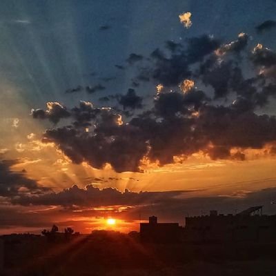 Cryptomonxter's profile picture. 