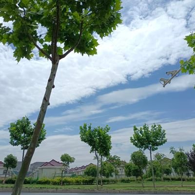 KimKim66365620's profile picture. 当天空变得特别蓝
当草儿变的特别香
当清风吹散了热气
当回忆已经想起来
当感恩铭记在心里
当习惯开始在变化
当眼里闪烁着泪光
当嘴角扬起了微笑
一切都在变的明朗起来
~