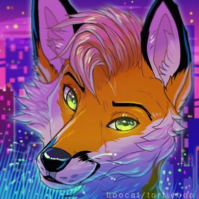 💻👾📀🛠 |fox|28|he/him I can fix your stuff probably. also looking to make friends! feel free to hit me up if looking to game/chat!