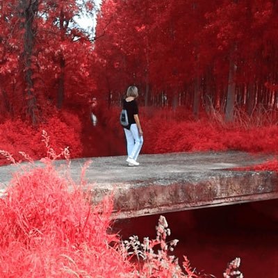 diamante00097's profile picture. 