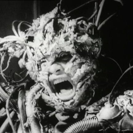 ShinyaKawasaki1's profile picture. A era is only confused by a confused mind
-Jean Cocteau