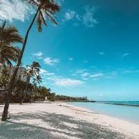 Nguyễn Thành (@nguynth12771304) 's Twitter Profile