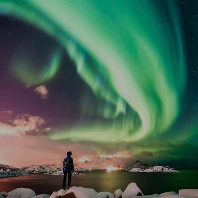 JennyOgdoc's profile picture. None like