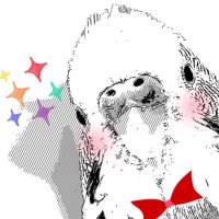 tamasuke (@tamasuke0208) 's Twitter Profile