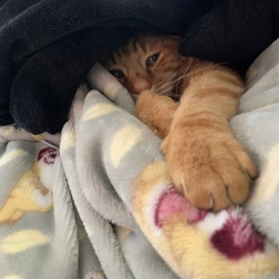 lablouie05's profile picture. 