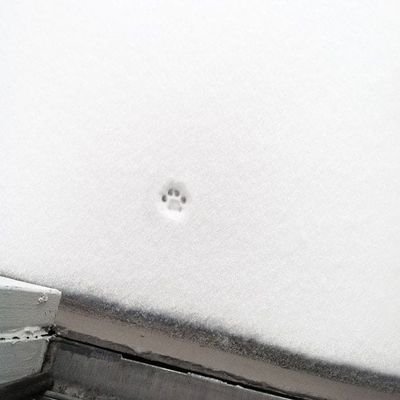 Dev1l_sss's profile picture. ._.