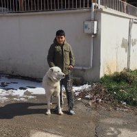 Mucip (@mucip23036711) 's Twitter Profile