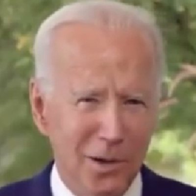 POTUSJoeBrandon's profile picture. Dementia addled, senile career politician.Done fuck all since first getting to the Senate 720 years ago. Love numbers, ice cream and kids touching my hairy legs