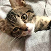 나우 (@sddr2no) 's Twitter Profile Photo