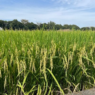 mmamamaam84's profile picture. Twitter始めたて