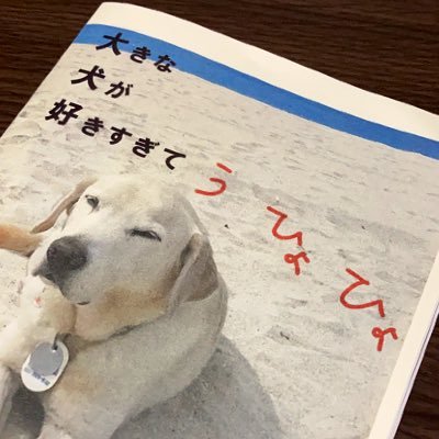 犬ばかZINE 「大きな犬が好きすぎてうひょひょ」
13年間共に過ごした盲導犬セラフのこと、大型犬の話、保護犬インタビューなど、大きな犬にうっとりしながら綴る小冊子。
編集長・レナは、目が見えないので、誤字脱字多めです。