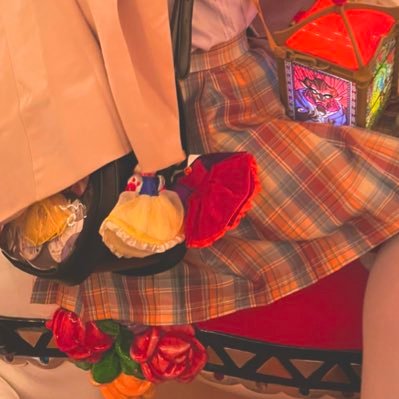 Dkanon_'s profile picture. Dハロ仮装垢｜秋以外ほぼ無浮上｜お別れは必ずB解で🪄ランピー（ズオウ4世）・メリーポピンズ・ピーターパン・カーズ・🐞🐈‍⬛・MCU・Dch