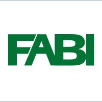FABI (@fabiteam1) 's Twitter Profile