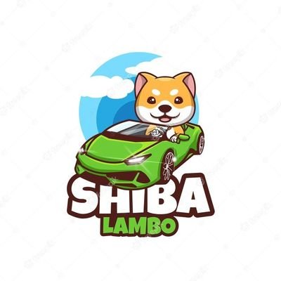 Only good vibes and Shiba inu