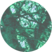 cultura verda (@culturaverda) 's Twitter Profile