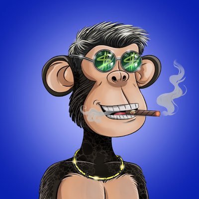 nftissimo's profile picture. Born to be Free 🌪️🦁