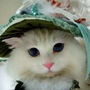 Cindy HAN - @MulanHan - Twitter