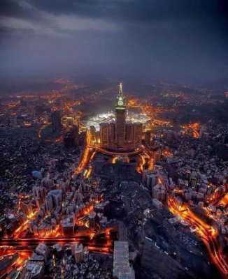 WWajehaha's profile picture. Political Member