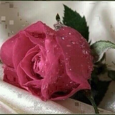 lio2oil's profile picture. تقبل الله منا ومنكم صالح الأعمال وأعاده الله علينا وعليكم أعواما عديدة بالخير والغفران والعتق من النيران وكل عام وأنتم بخير