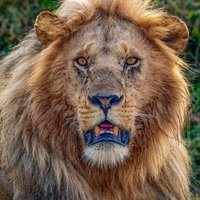 Bilal Masroor Badvi (@bilal_badvi) 's Twitter Profile