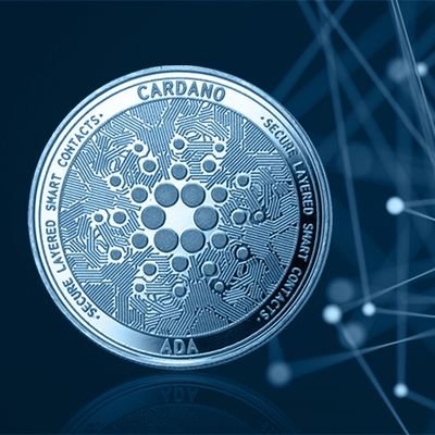 A10164325's profile picture. 