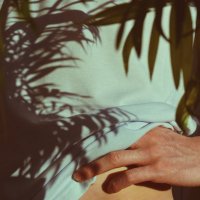 Palace Cats (@palacecatsmusic) 's Twitter Profile