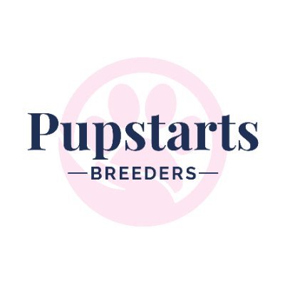 Training providers of ethical and responsible breeding practises. Hosts of the annual National Dog Breeder Convention and National Dog Breeder Day 25th Nov #SBS