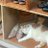 おーいえすのアイコン