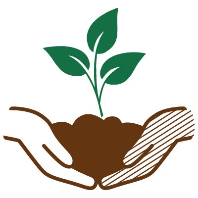Founded in 1984, Seed St. Louis is a 501c 3 organization that supports urban agriculture in communities throughout the St. Louis region.
