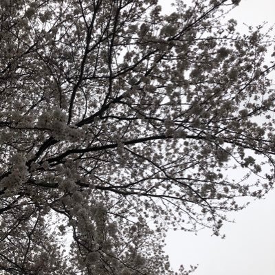 0d6225d4aab3403's profile picture. 