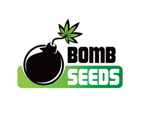 Well quite simply, if you are looking for the best combination of Strength, Power, Quality and Yield; Bomb Seeds genetics are the best available.