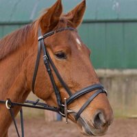 Andrew Logan (@dandyl2011) 's Twitter Profile