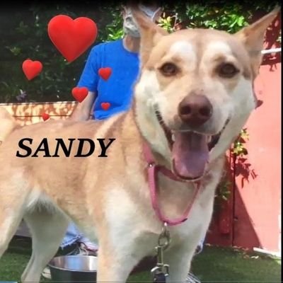 RofromNorCal619's profile picture. 