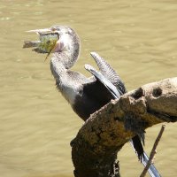 Climate Scam (@climatescam) 's Twitter Profile