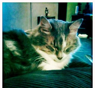 chezzacanuck's profile picture. Audio engineer. Horn extraordinaire. Mad bulldog supporter. 🇨🇦🇦🇺🇺🇸